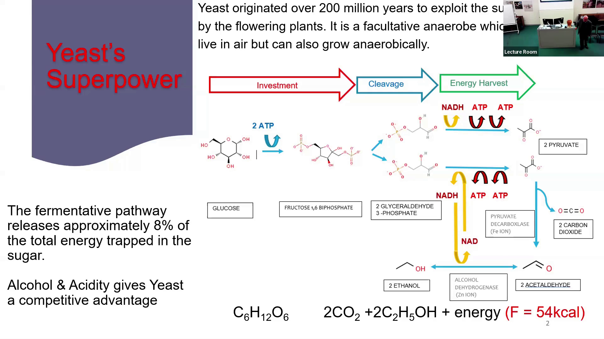 Yeast's Superpower